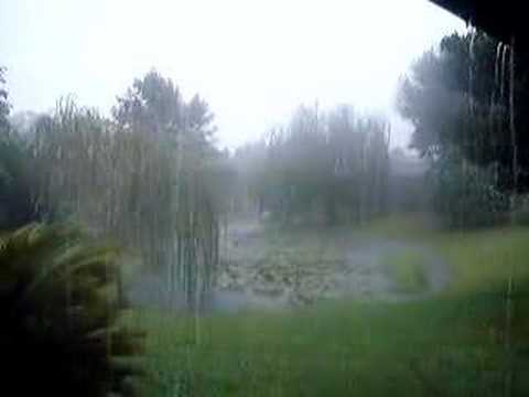 Jacksonville Florida Weather 